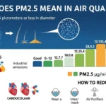 What Does PM2.5 Mean in Air Quality
